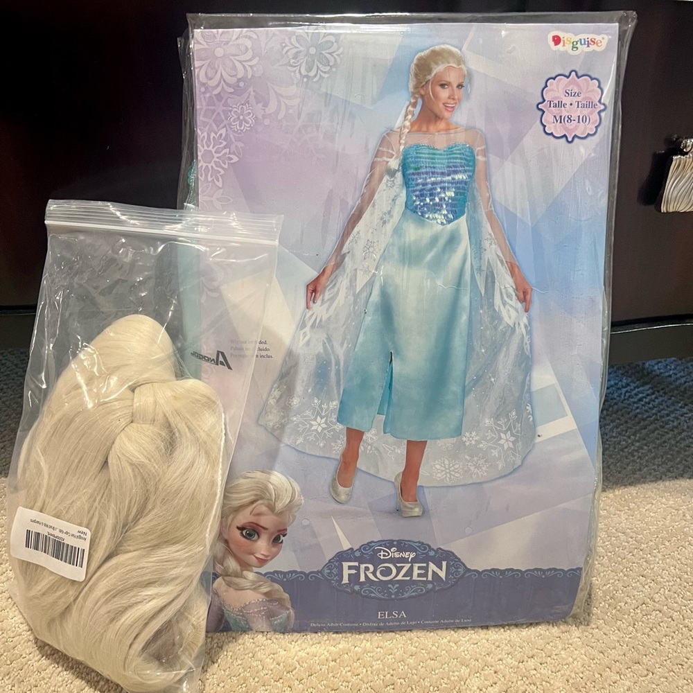 Womens Elsa Costume with Wig ❄️